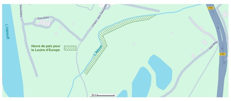 Image2