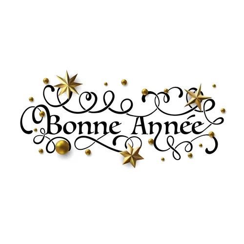 Bonne annee happy new year in french greeting vector image on VectorStock