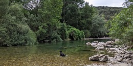 Berges de l'Hérault